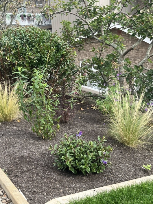 557592003_1638757754100720_6817020861410393891_n