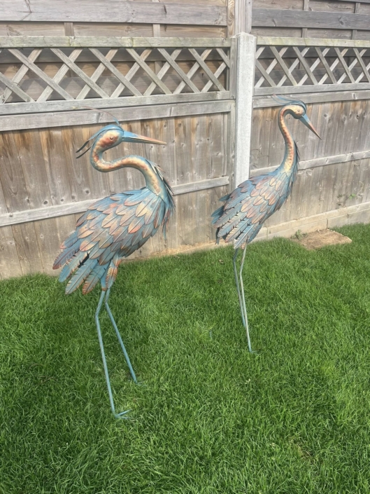 558913012_1638757620767400_922971287624075011_n