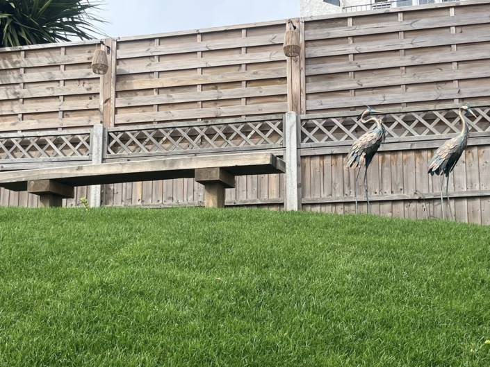 559006288_1638757647434064_103238811695960393_n